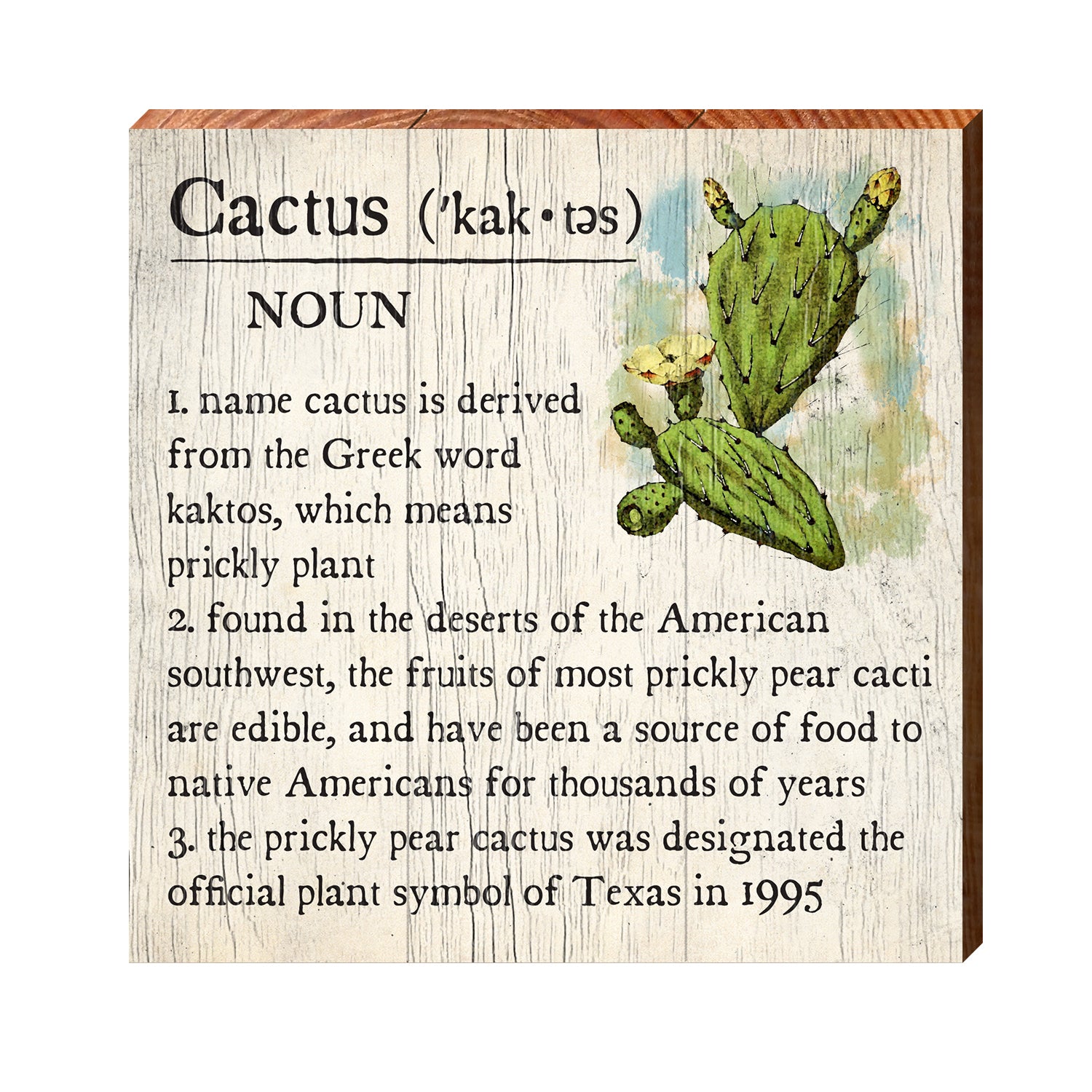 different types of cactus and their meanings Cactus Definition Wooden Sign | Wall Art Print on Real Wood