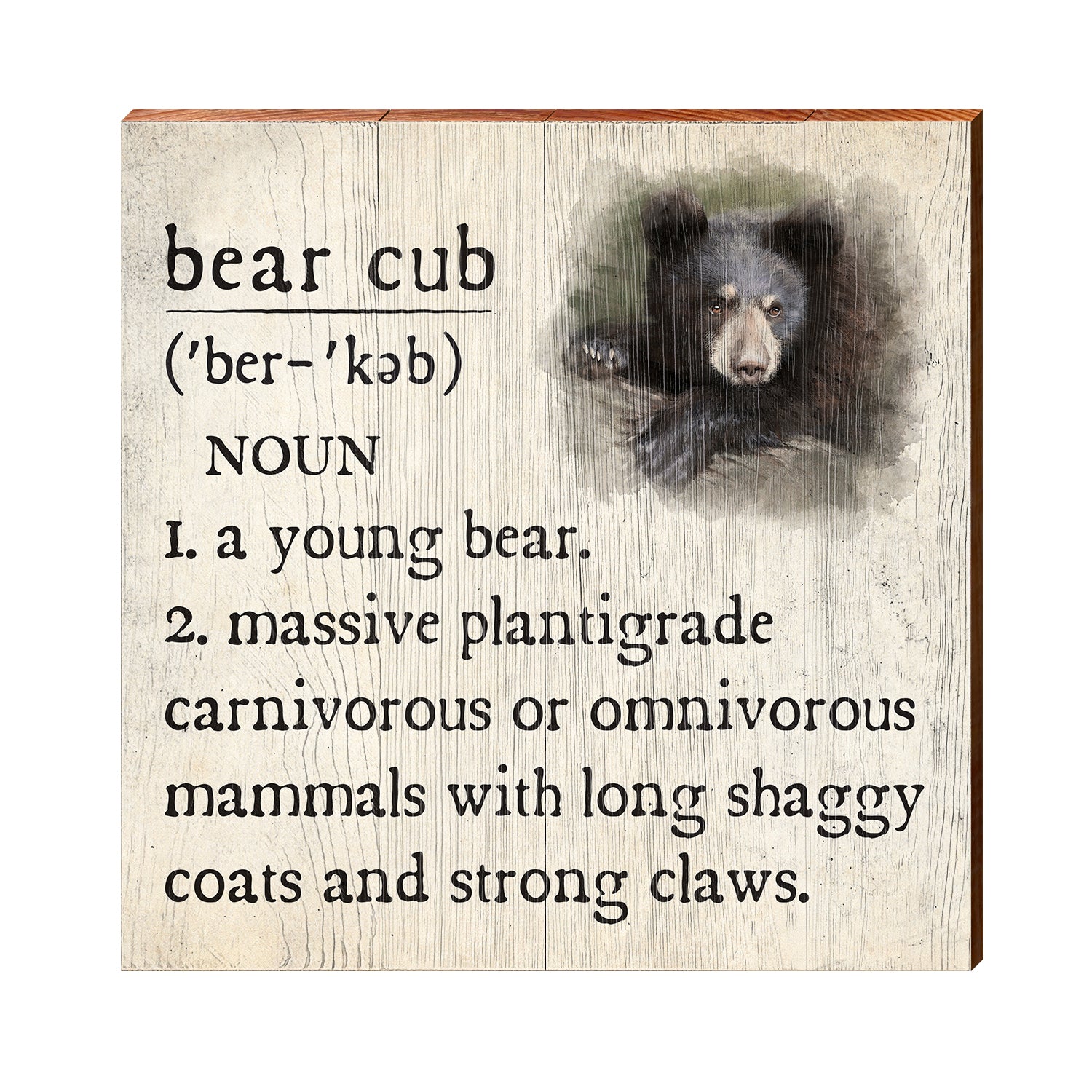 Definition of a bear
