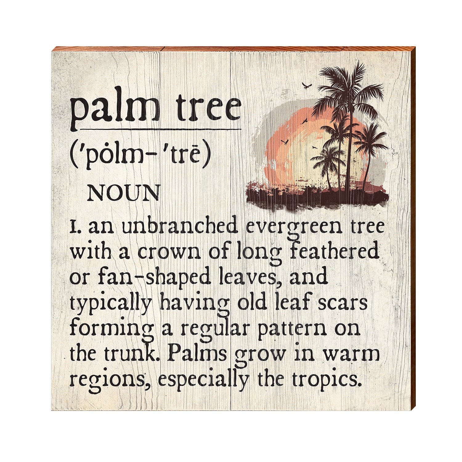 palm plant meaning Palm Tree Definition Wooden Sign | Wall Art Print on Real Wood