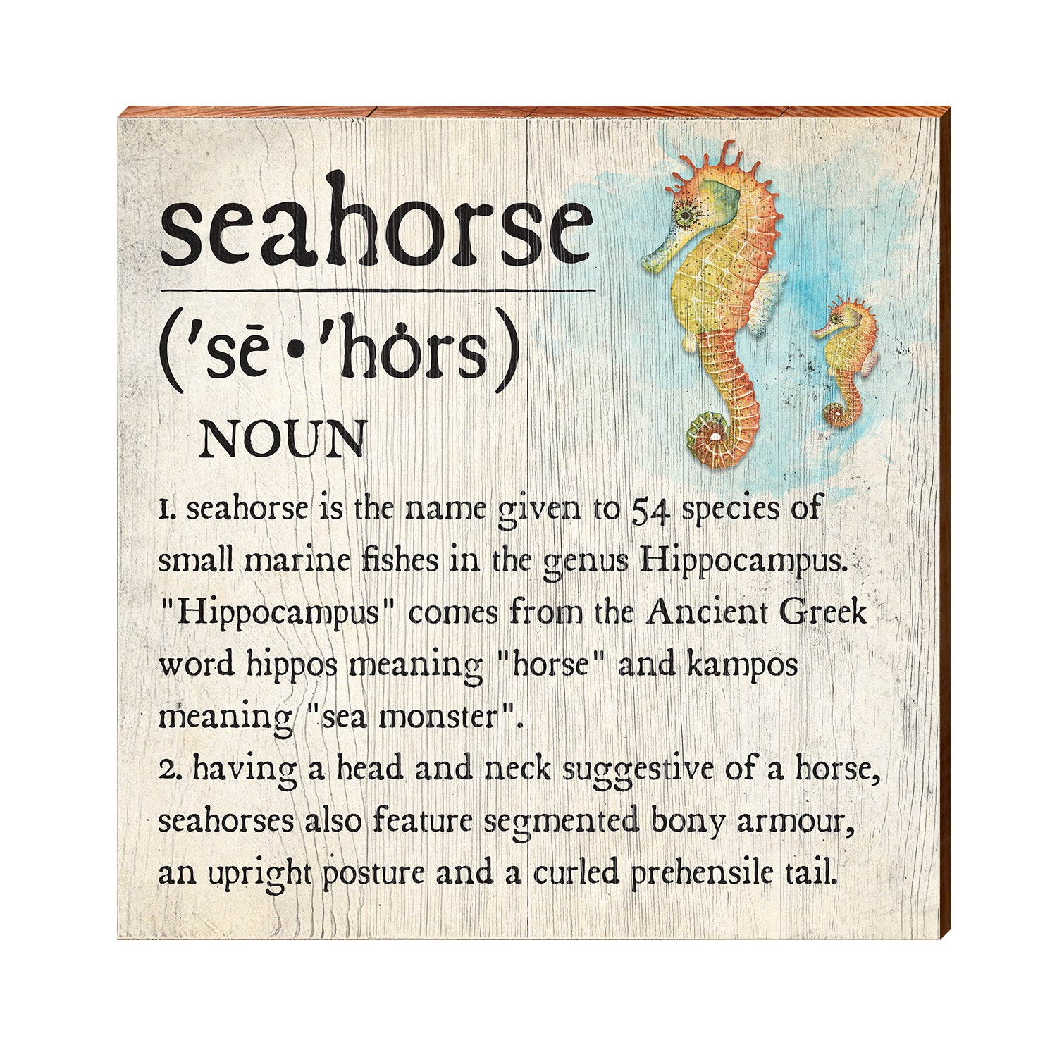 Seahorse Definition Wooden Sign | Wall Art Print on Real Wood