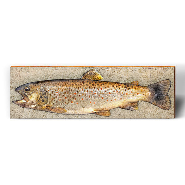 Brown Trout | Wall Art Print on Real Wood