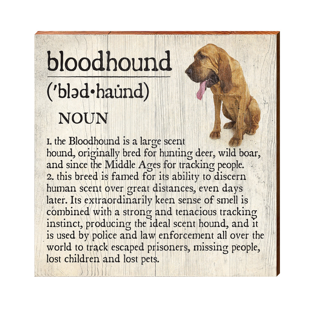 Bloodhound Definition Wooden Sign | Wall Art Print on Real Wood