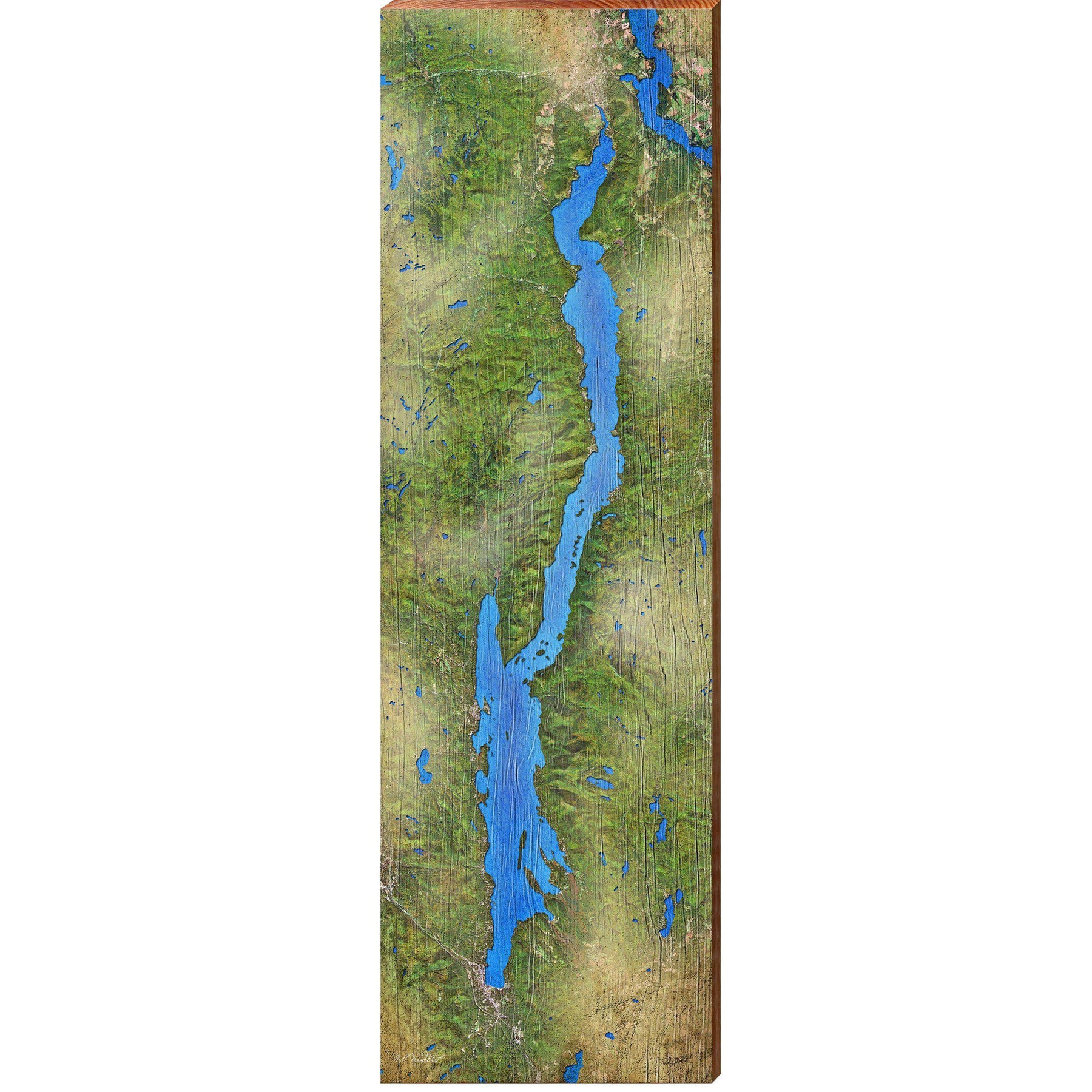 Lake George Satellite Map | Wall Art Print on Real Wood