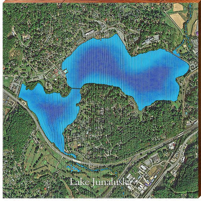 Lake Junaluska, North Carolina Satellite Map-Mill Wood Art